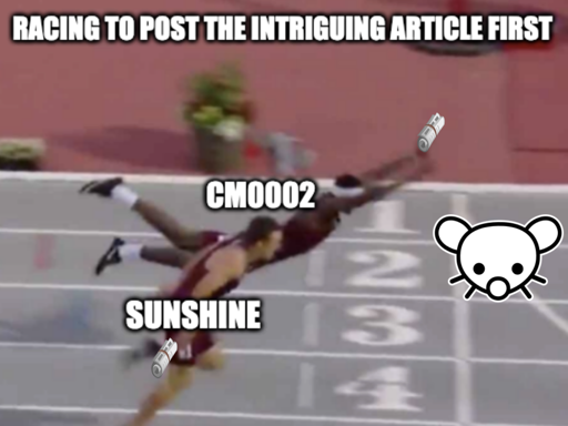 Close race meme one person second place "Sunshine with newspaper roll" and one person jumping ahead "cm0002 with newspaper roll" to the finish line