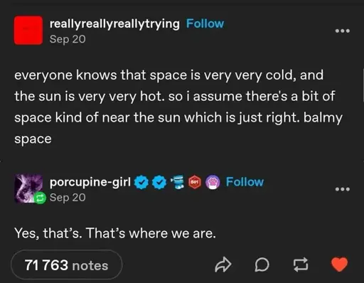 reallyreallyreallytrying on Tumblr "everyone knows that space is very cold, and the sun is very very hot. so i assume there's a bit of space kind of near the sun which is just right. balmy space". porcupine-girl replies "Yes, that's. That's where we are."