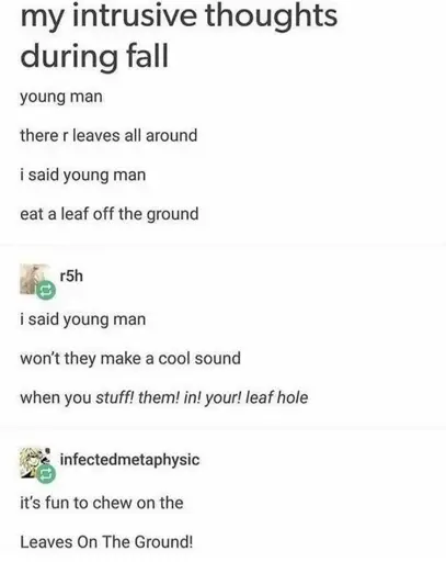 A tumblr post labeled "my intrusive thoughts during fall". It says "young man there r leaves all around i said young man eat a leaf off the ground". @r5h reblogs with "i said young man won't they make a cool sound when you stuff! them! in! your! leaf hole". @infectedmetaphysic says "it's fun to chew on the Leaves On The Ground!"